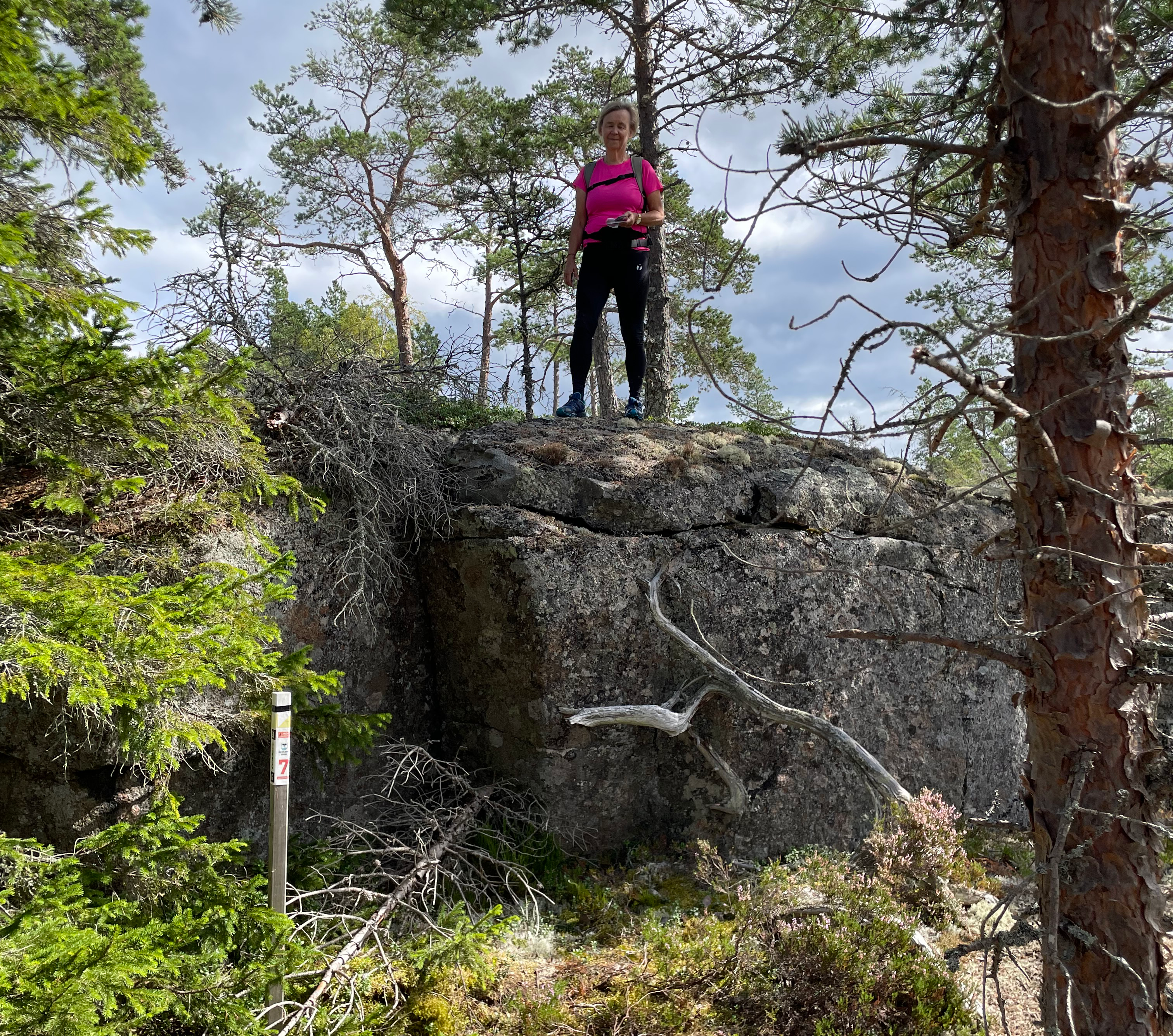 Stolpe i skogen