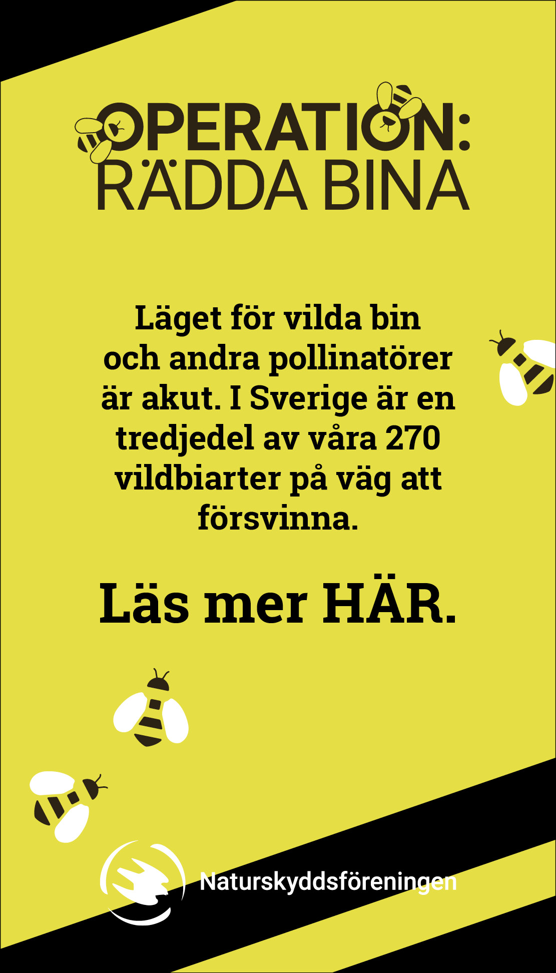 Rädda bina