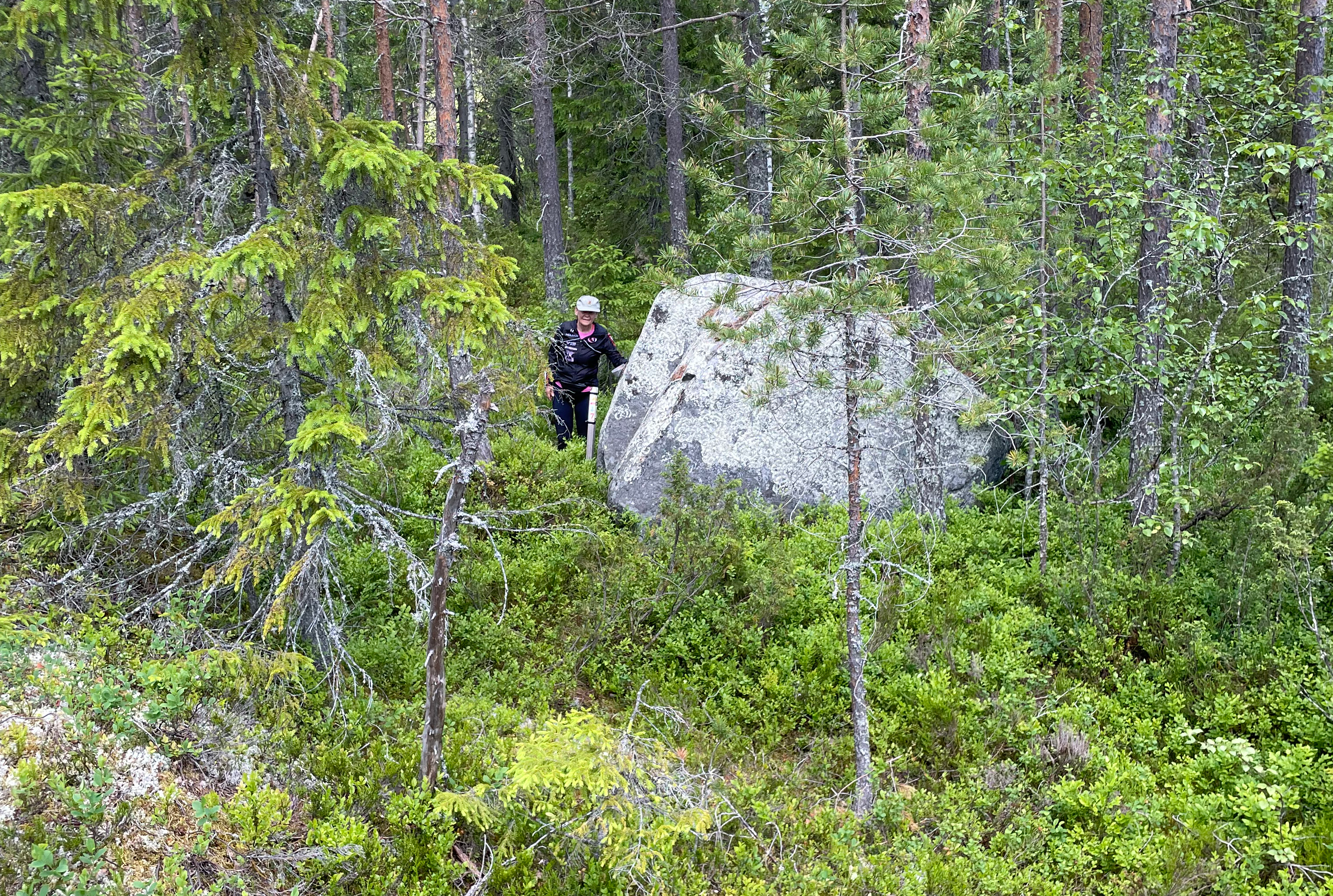 Någon letar stolpar i skogen